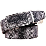 White Snake Belt