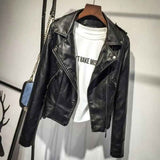 Black Snake Jacket