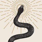Black Snake Painting