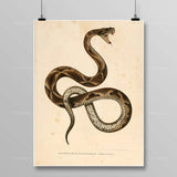 Egyptian Snake Painting