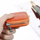 Zipped Snake Wallet