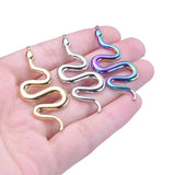 Snake Design Keychain