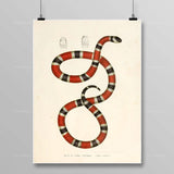 Egyptian Snake Painting