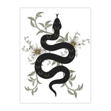 Snake Design Painting