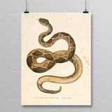 Egyptian Snake Painting